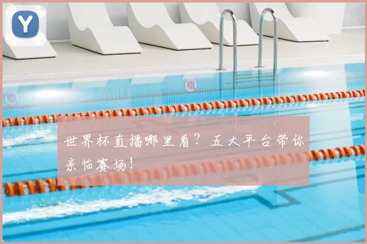 世界杯直播哪里看?五大平台带你亲临赛场!