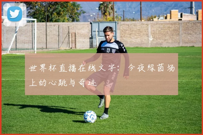 世界杯直播在线文字:今夜绿茵场上的心跳与奇迹