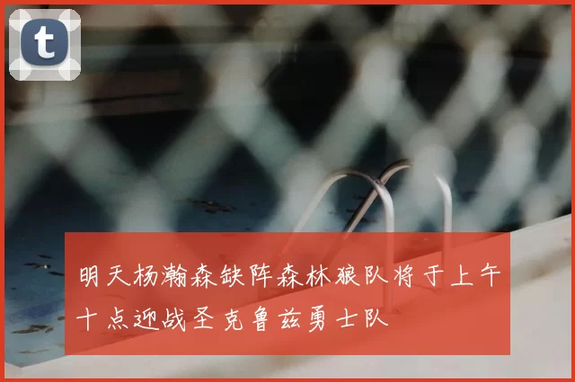 明天杨瀚森缺阵森林狼队将于上午十点迎战圣克鲁兹勇士队