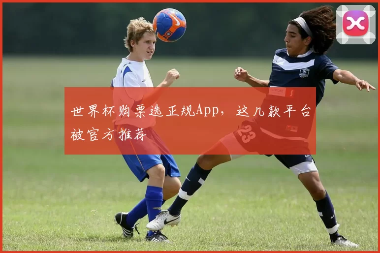 世界杯购票选正规App,这几款平台被官方推荐