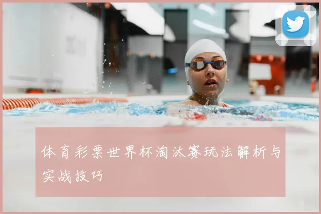体育彩票世界杯淘汰赛玩法解析与实战技巧