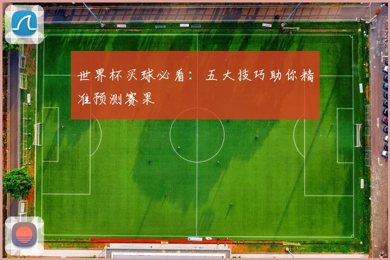世界杯买球必看:五大技巧助你精准预测赛果