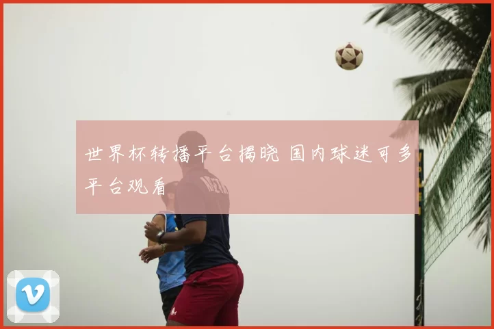 世界杯转播平台揭晓 国内球迷可多平台观看