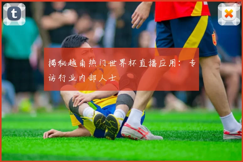 揭秘越南热门世界杯直播应用:专访行业内部人士