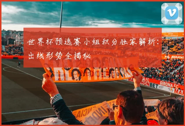 世界杯预选赛小组积分独家解析:出线形势全揭秘