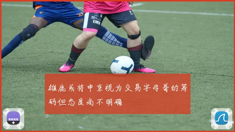 雄鹿或将申京视为交易字母哥的筹码但态度尚不明确
